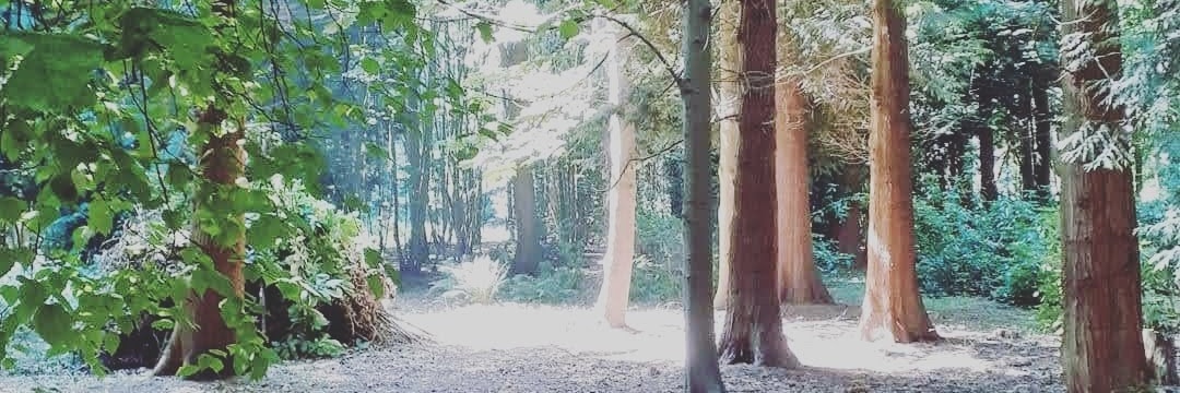 ClareAngel73's profile banner image