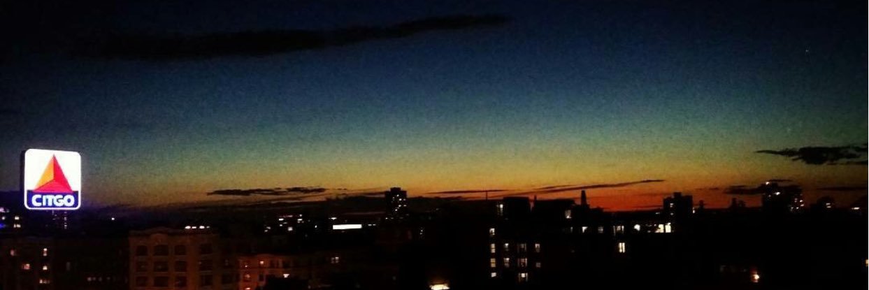 SebAntSeq's profile banner image