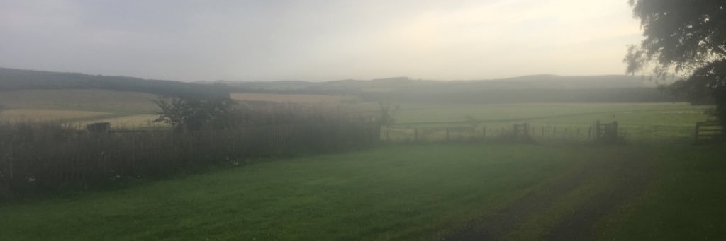 Annabelle Scott banner