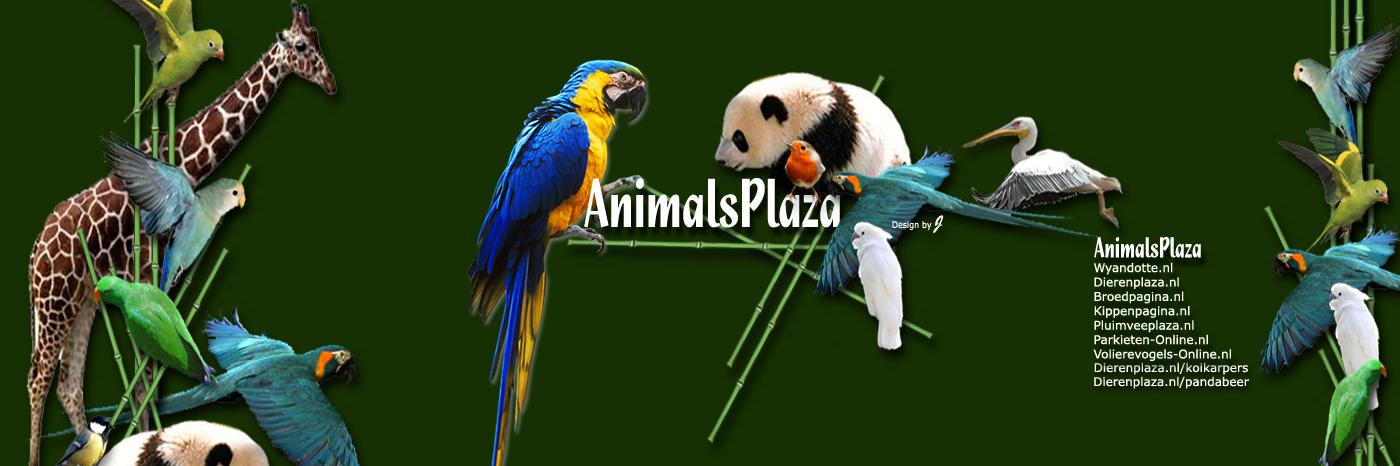 AnimalsPlaza's profile banner image