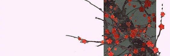 erinelisec's profile banner image