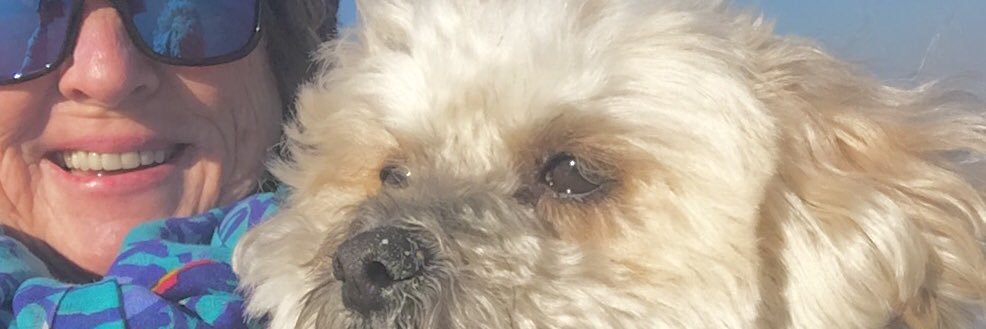 LMEkdahl's profile banner image