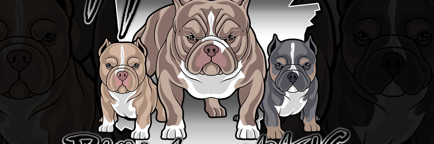 bullyplug_mbk's profile banner image