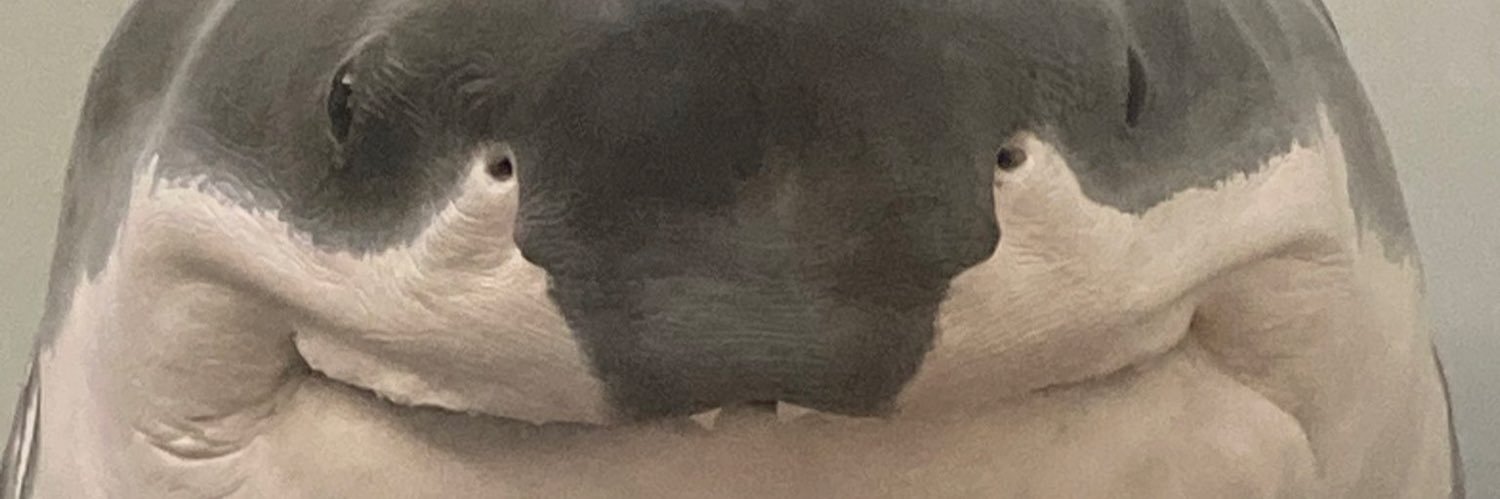 MachenII's profile banner image