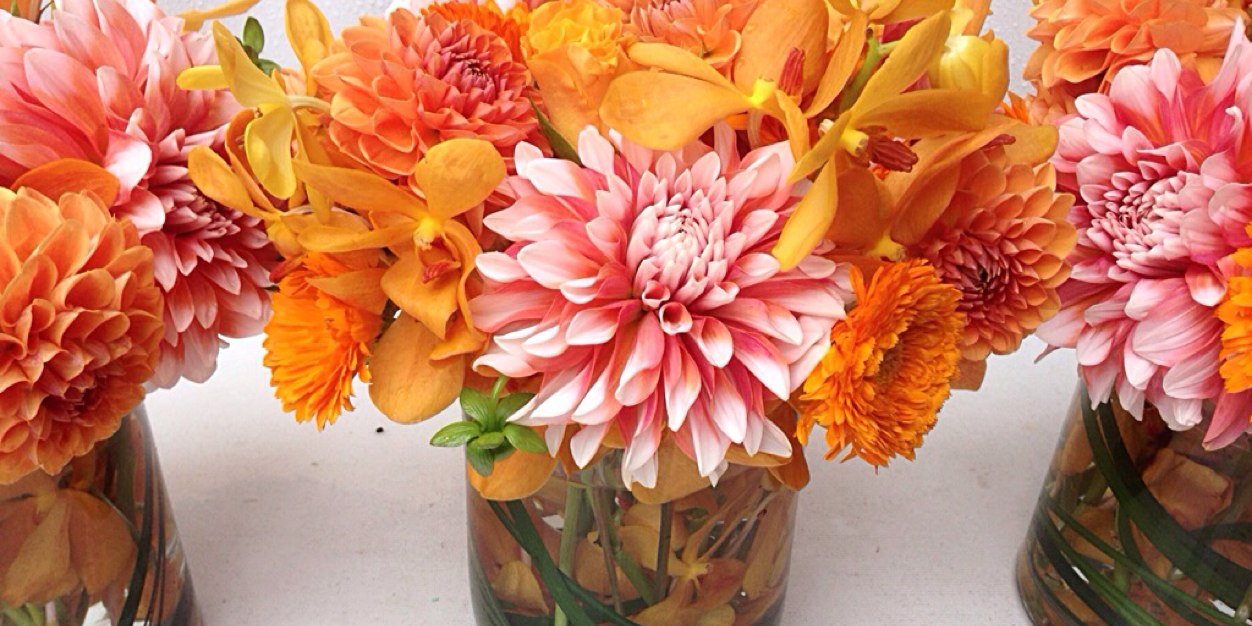 THFlorist's profile banner image
