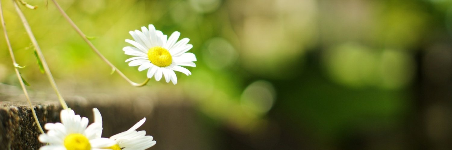 megaherealone's profile banner image