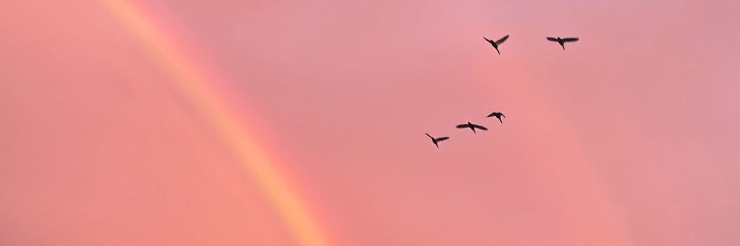 cielo banner