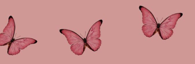 DianaReal's profile banner image