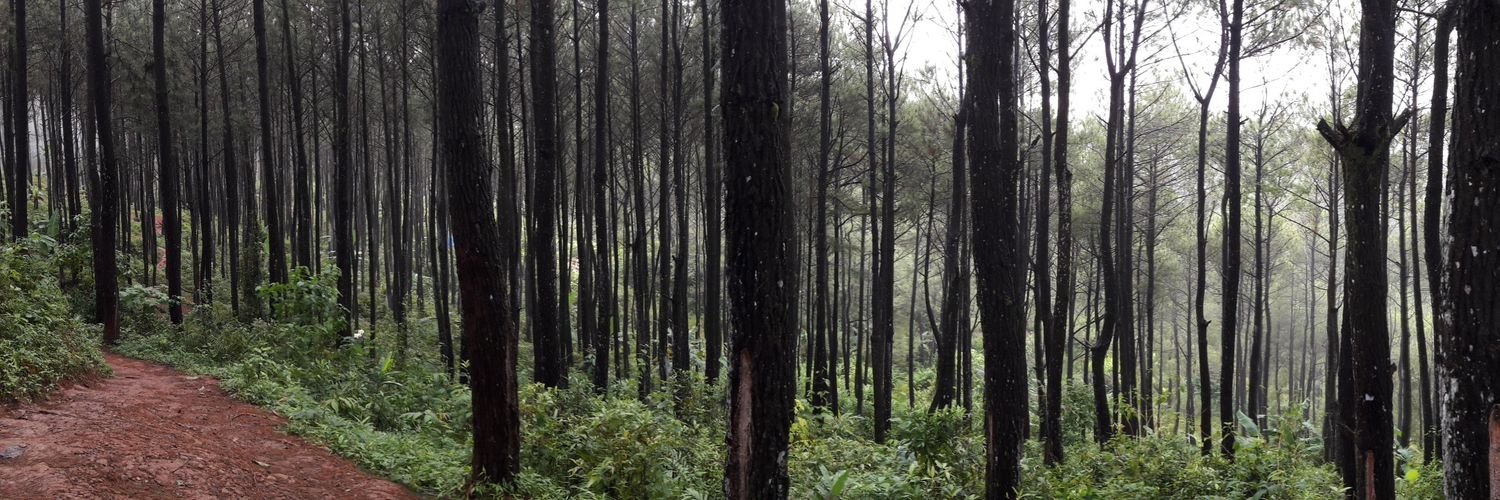 ꧋ꦲꦺꦟ꧀ꦝꦶꦦꦸꦂꦮꦦꦿꦨꦮ꧉ banner