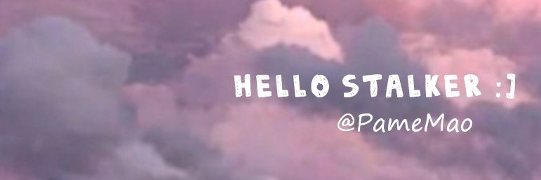 PameMao's profile banner image
