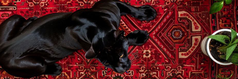 _TeeMan_'s profile banner image