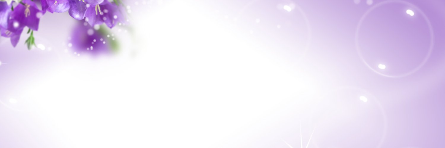 NavidaFlorida's profile banner image