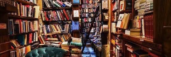 知の商人ホリー banner