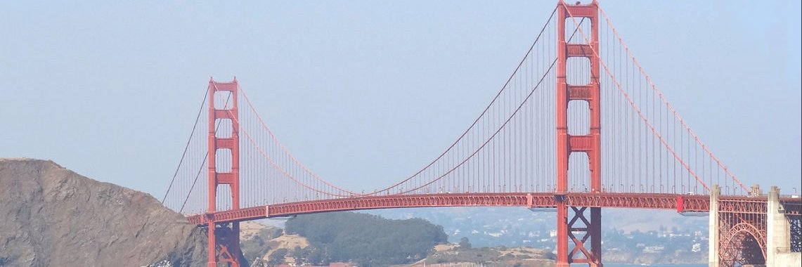 Pam Baer banner