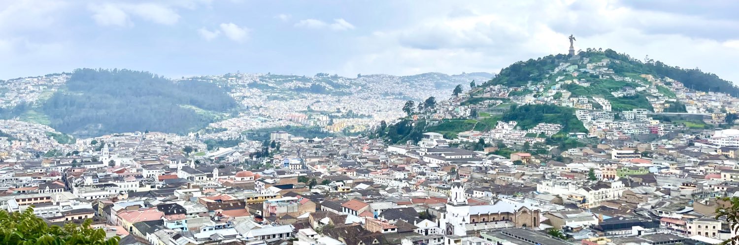 Sophy Beltrán banner