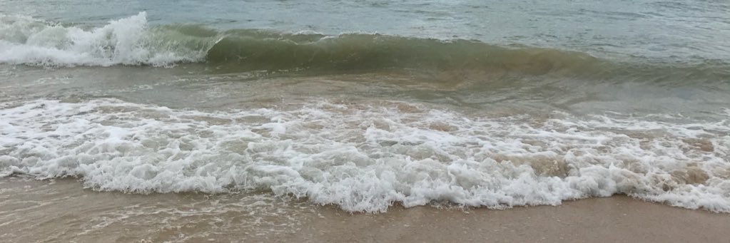 naturalpoodle's profile banner image