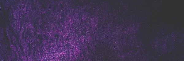 fuxmyswagg's profile banner image