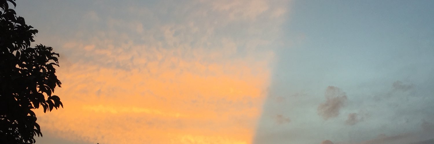bodoamatsich's profile banner image