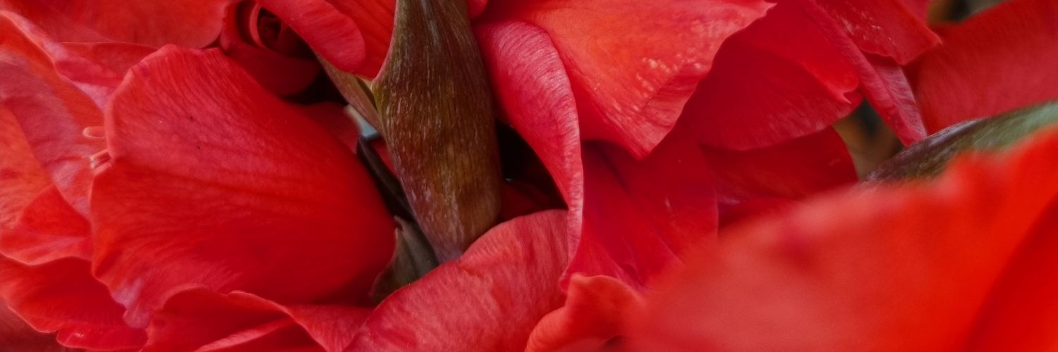 Heriberto Paredes ★ banner