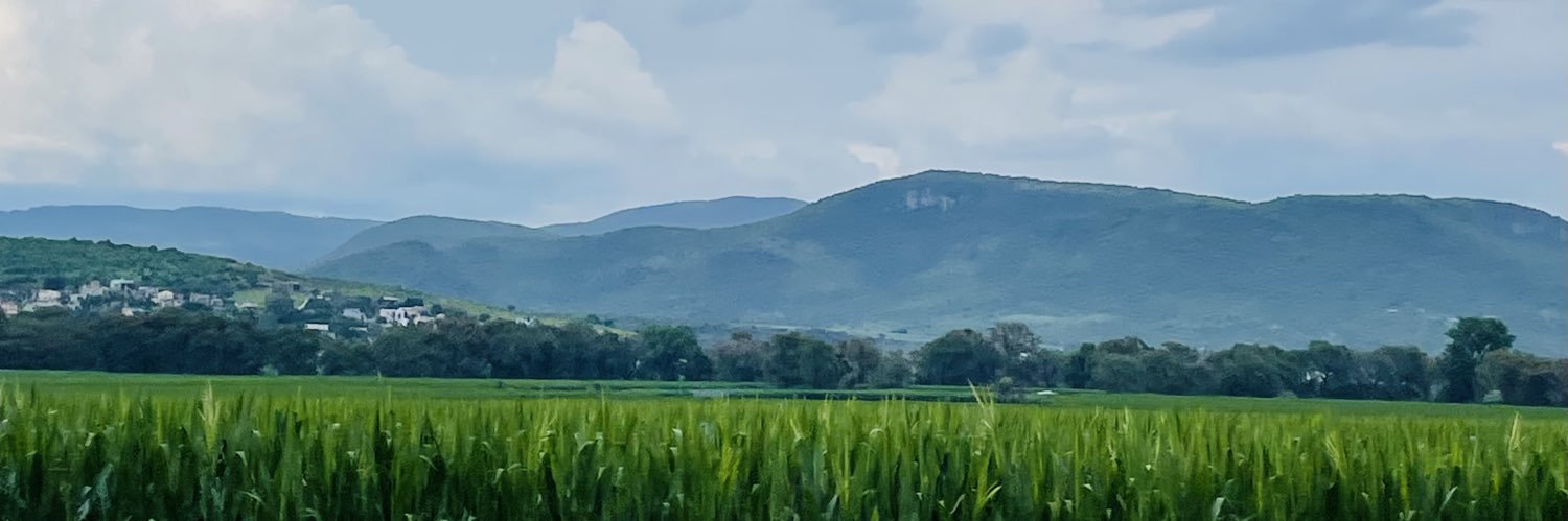 RosaliaRL's profile banner image