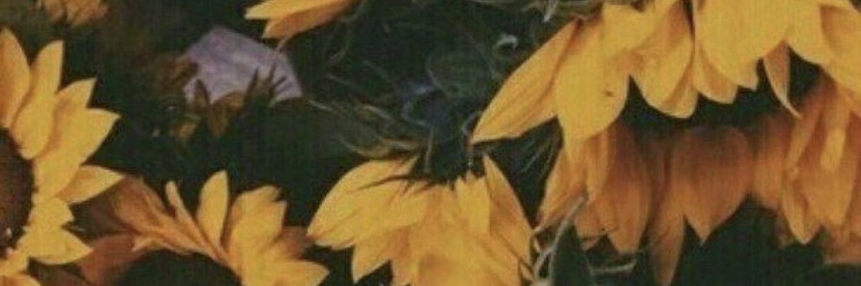 ogsunflower's profile banner image