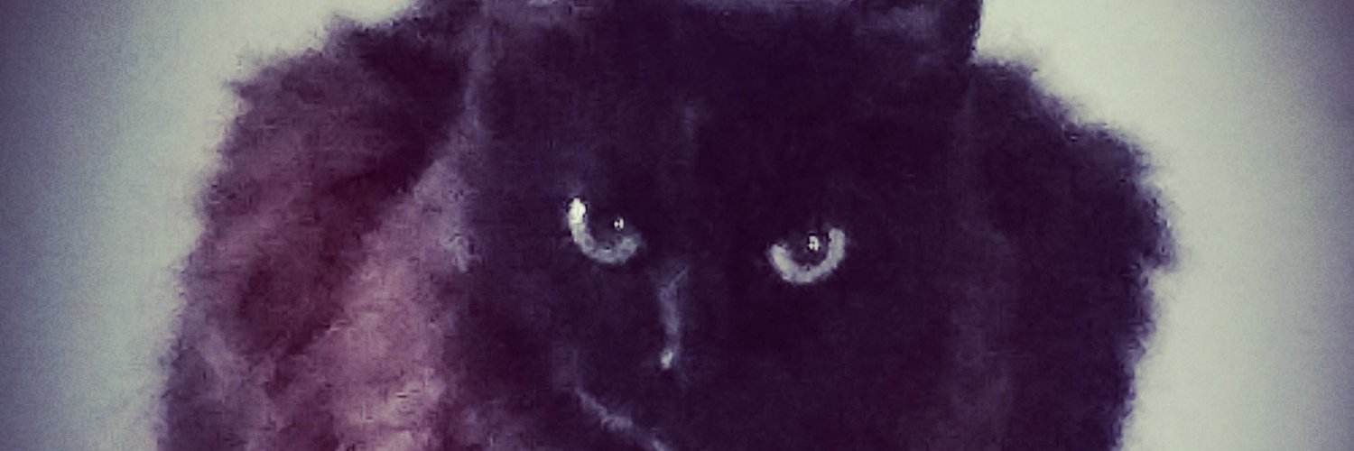 emanuelcwb's profile banner image