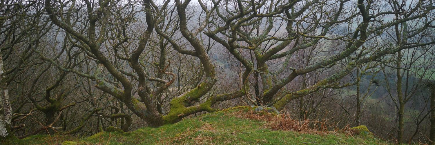 Jennifer Stothard 🦌🌈🥁 banner