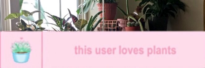 laur_ep's profile banner image
