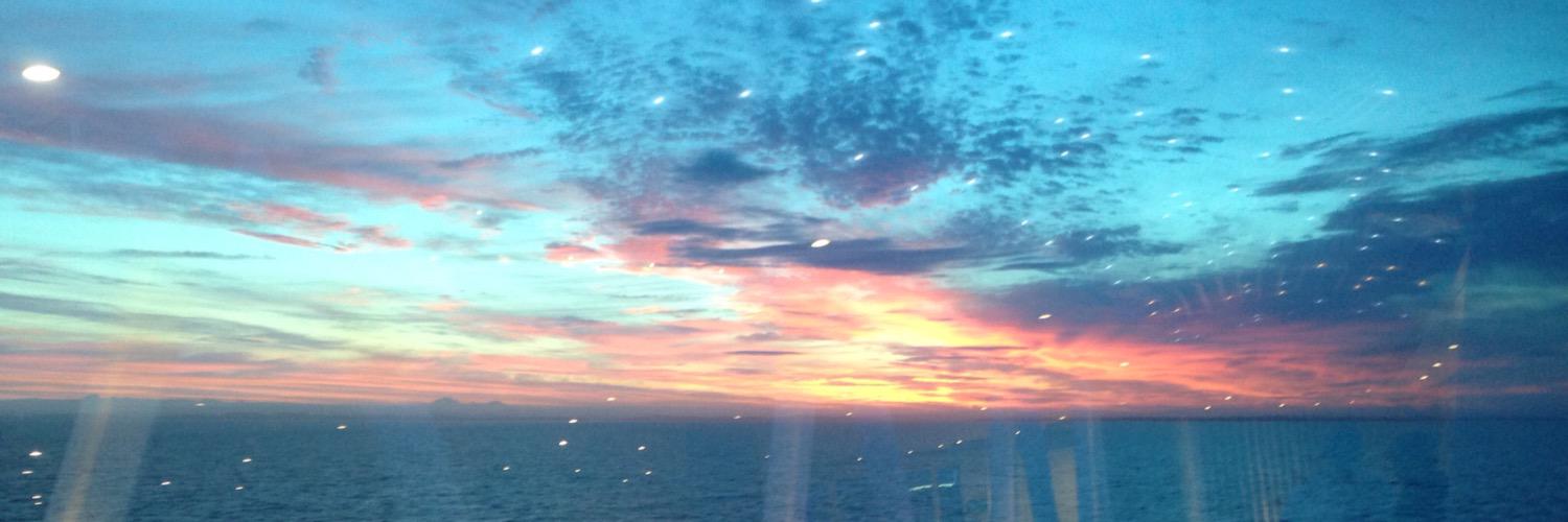 Ray Comerford 🇪🇺🌍 banner