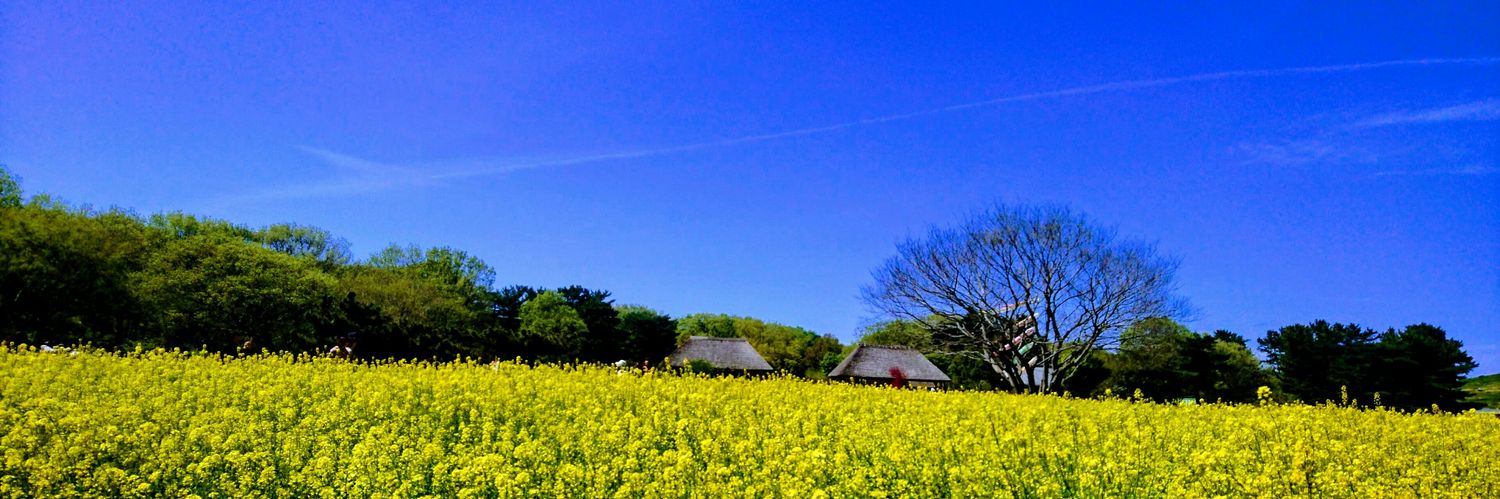 Aikong28's profile banner image