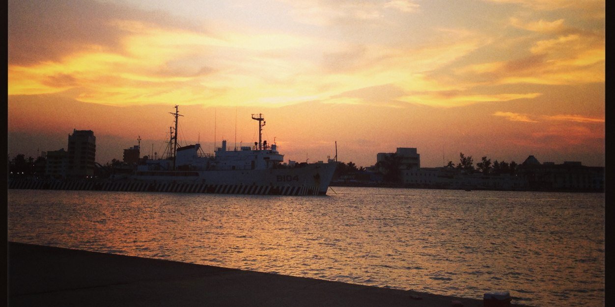 Anémona Anónima banner