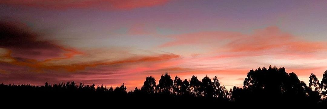 bmerida158's profile banner image