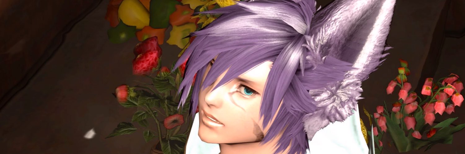 sorachaco's profile banner image
