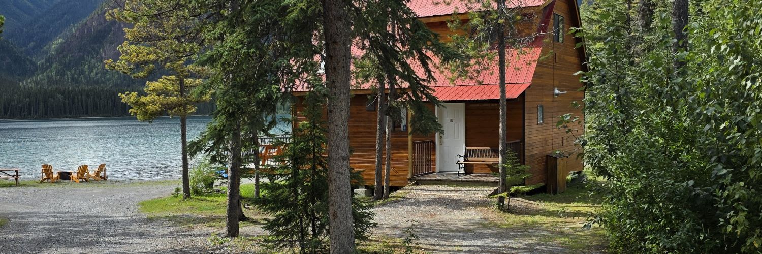 iyce leopard ➡️ ? banner