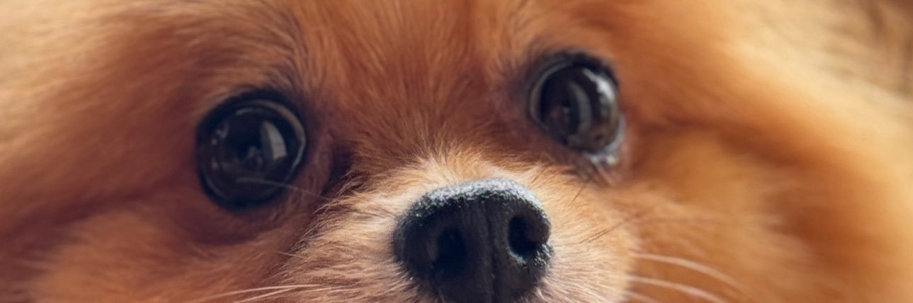 winsbustos's profile banner image