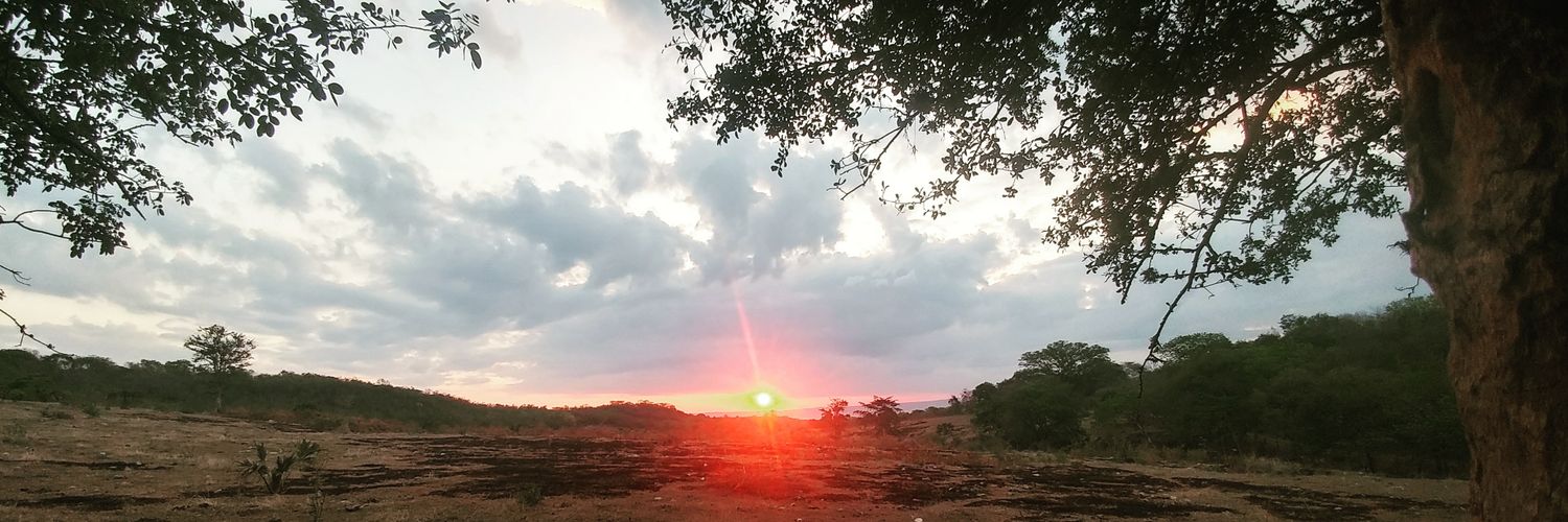 LuzLuz1307's profile banner image