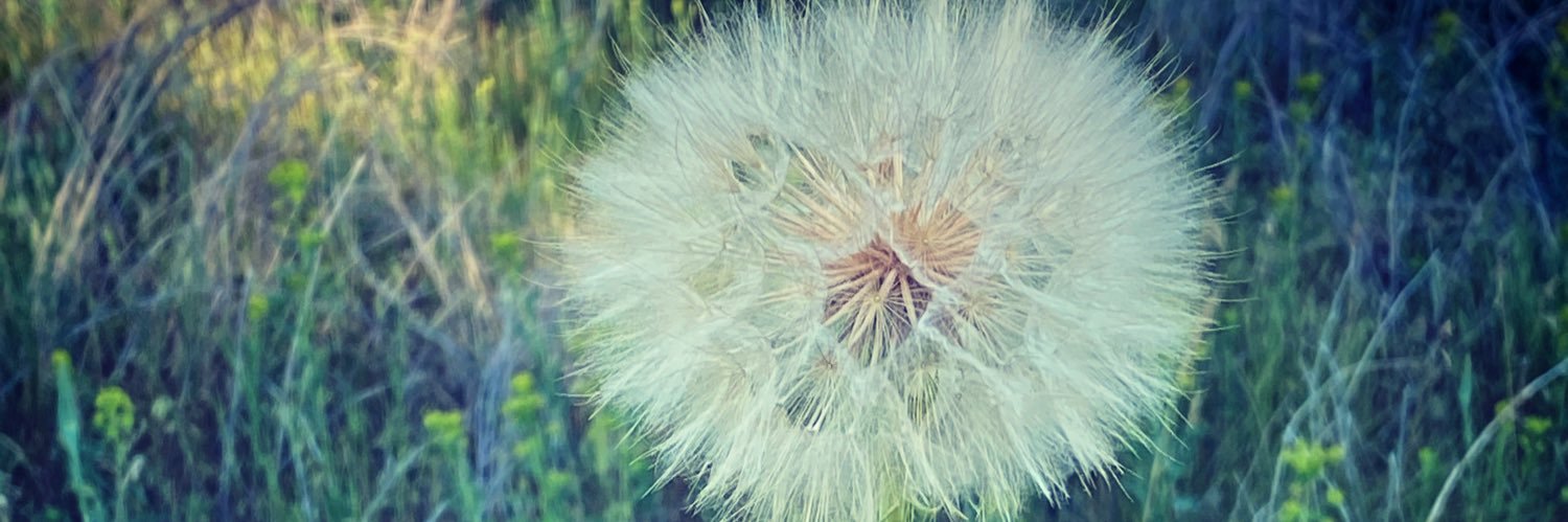 Aidesilher's profile banner image