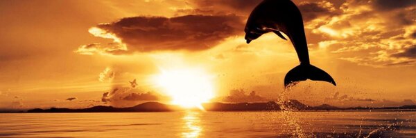 ardreamerz Profile Banner