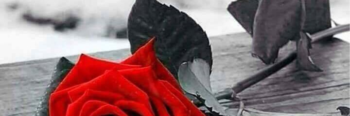 Glambitious_Mom's profile banner image