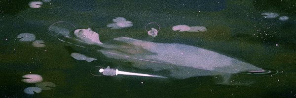 shannonwildart Profile Banner