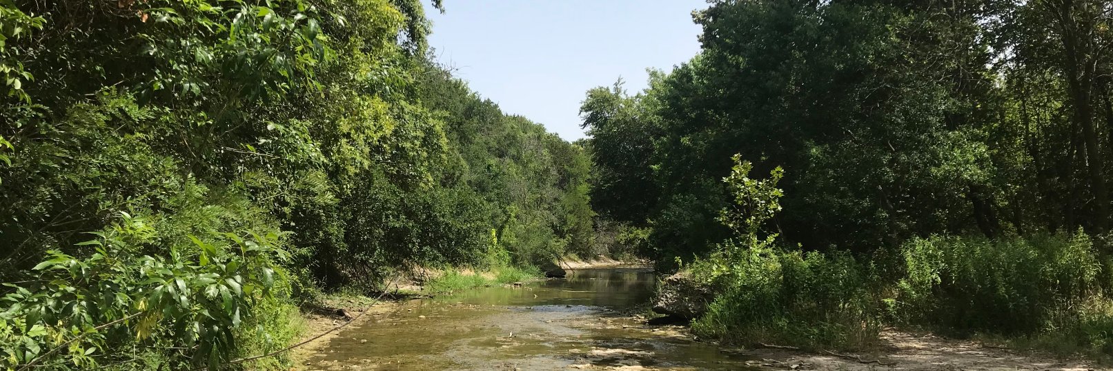 TX Master Naturalist banner