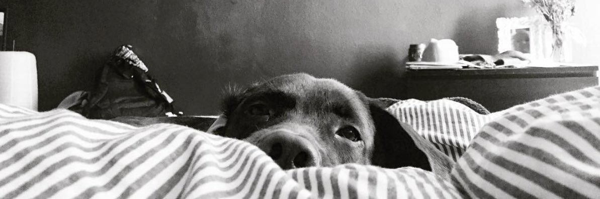 beccacamping_'s profile banner image