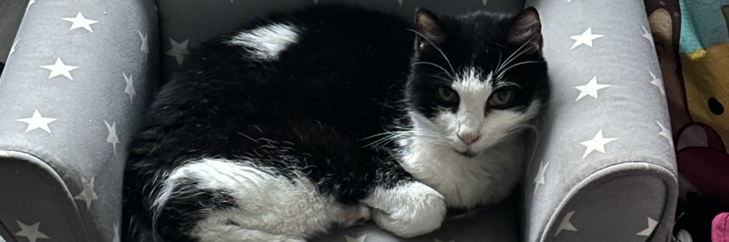 Sterling Archer 🇵🇹 banner