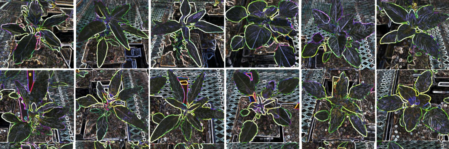 Crystal Concepcion 🦋 banner