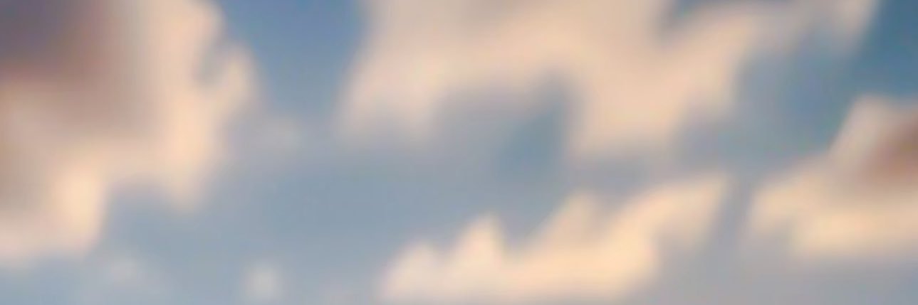 sh00sh0055's profile banner image