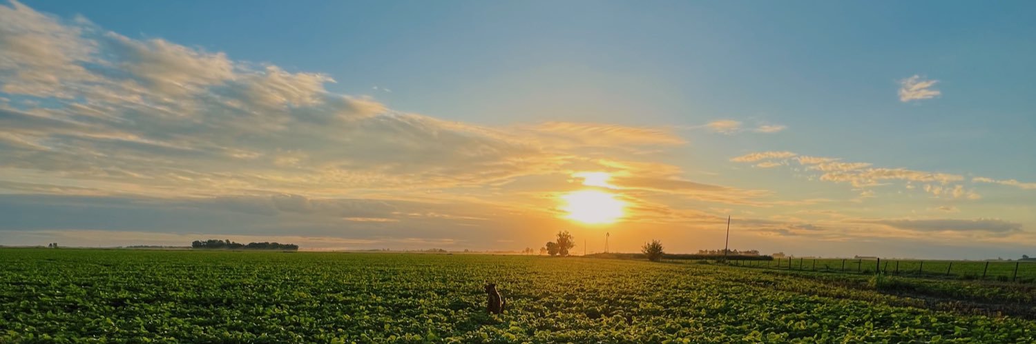 itsflowerpowerr's profile banner image