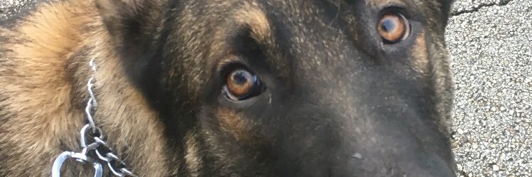 kensmassage's profile banner image