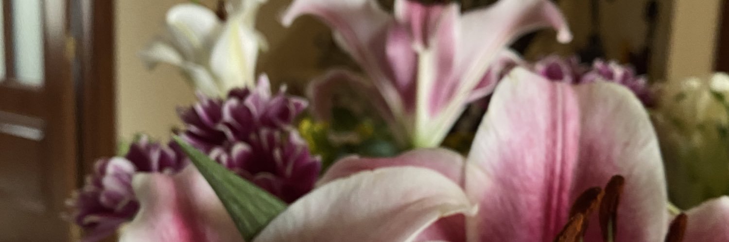 mjgallard0's profile banner image