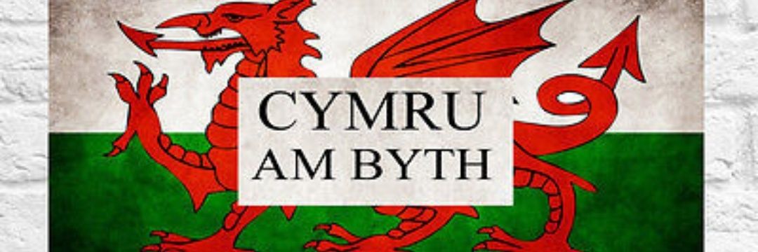 Cazycat's profile banner image