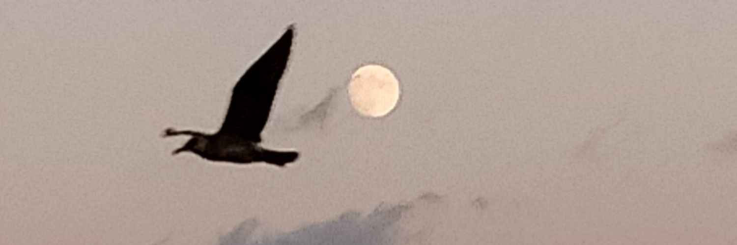 islo1's profile banner image